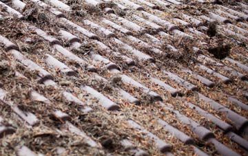 Lower Dounreay roof cleaning companies
