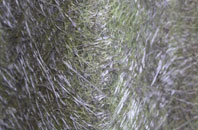 Lower Dounreay fibreglass roof work